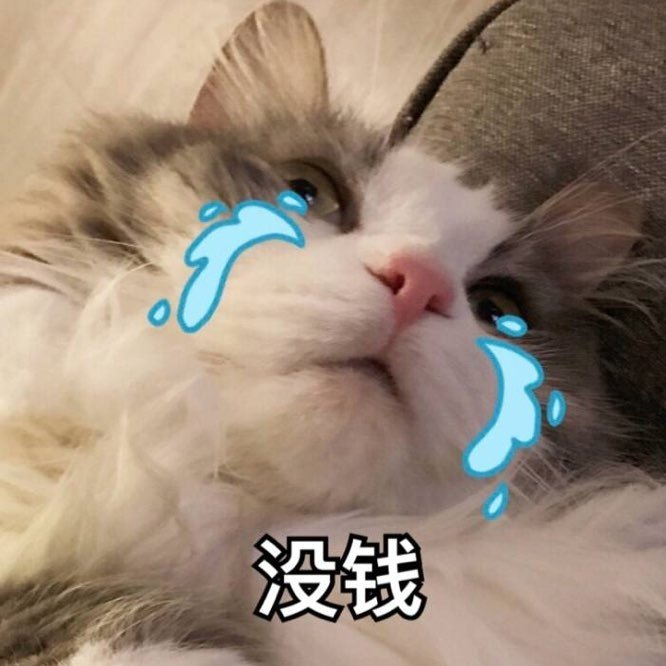 表情包564别的小朋友都是王者了鸭力压力山大人家凭本事