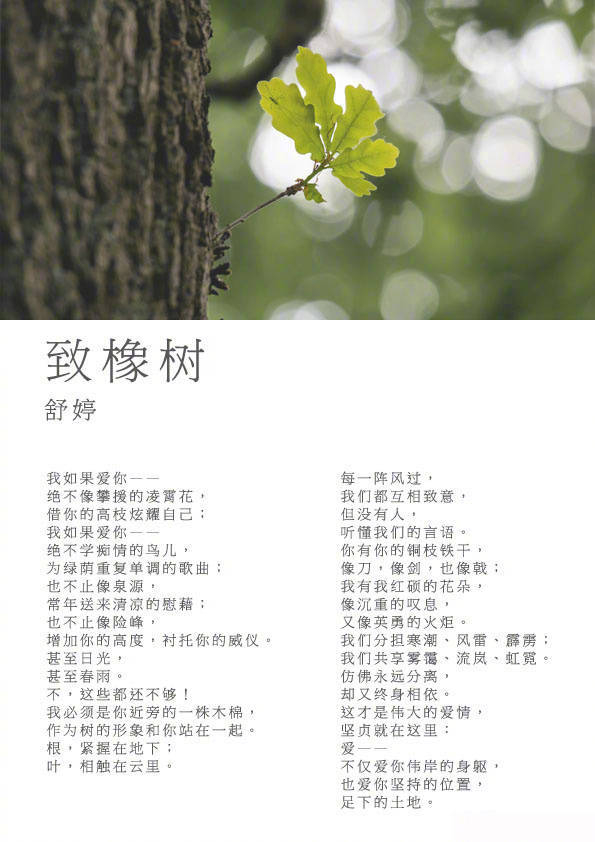 现代诗中的经典情感抒情诗