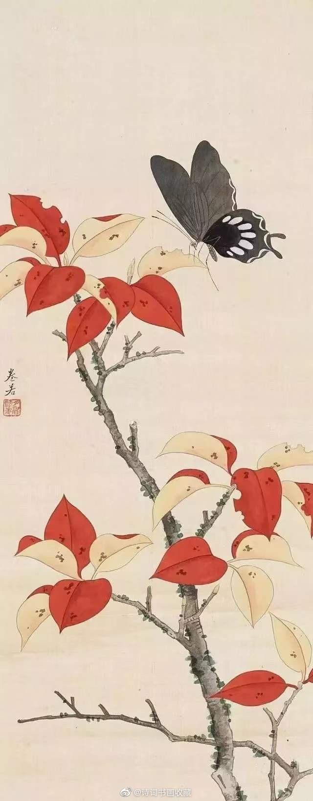 謝月眉   花鳥圖 民国才女“花鸟圣手”谢月眉