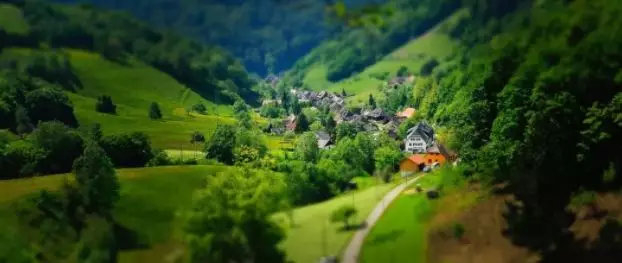 为什么2025年中央一号文件强调不允许退休干部到农村占地建房？