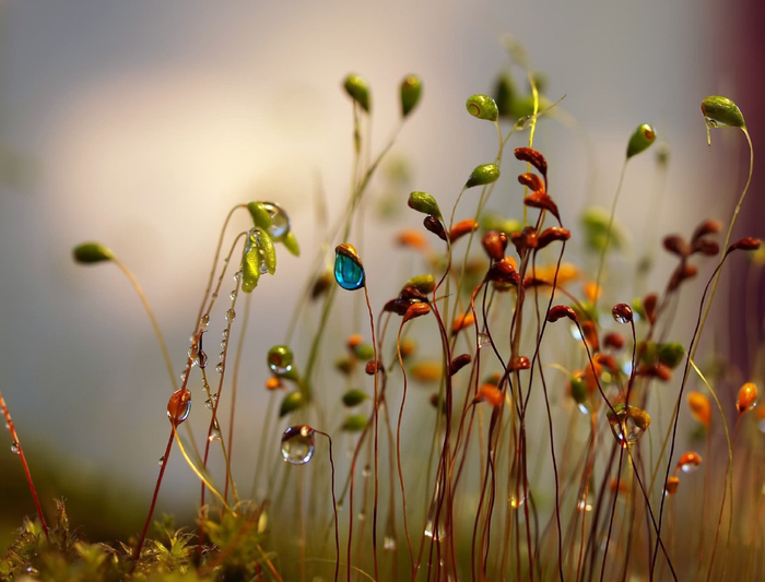 人生得意须尽欢,莫使金樽空对月