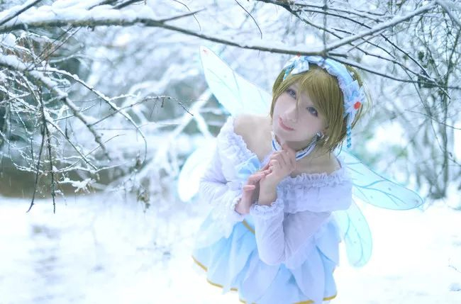cos:雪中的小泉花阳,想做雪中的精灵!|精灵|小泉|橙子_新浪新闻