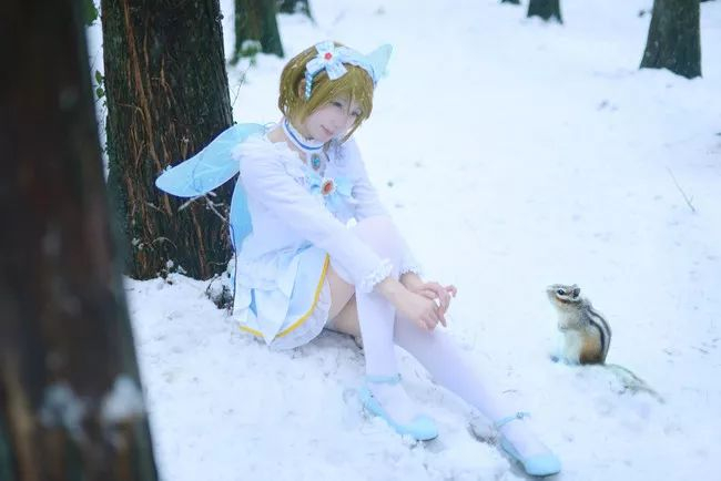 cos:雪中的小泉花阳,想做雪中的精灵!|精灵|小泉|橙子_新浪新闻