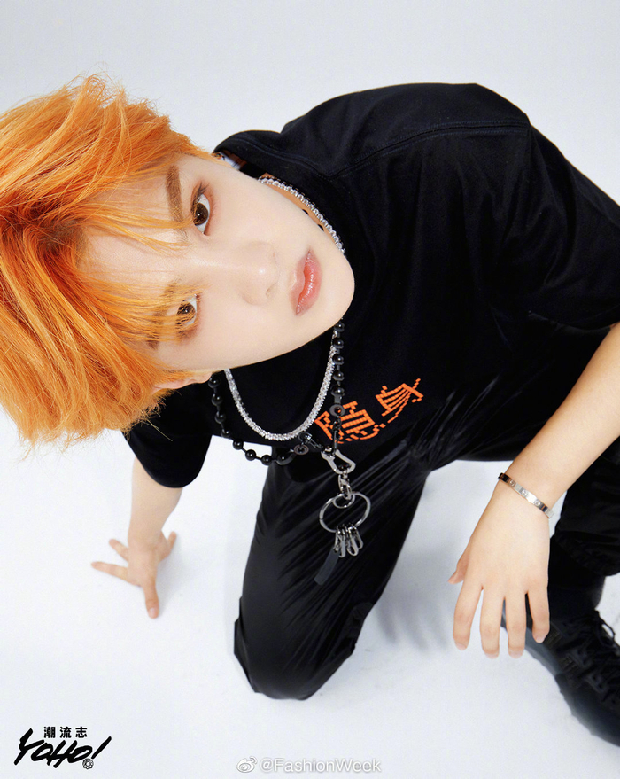 从速度稳定性到技术支持的全方位分析