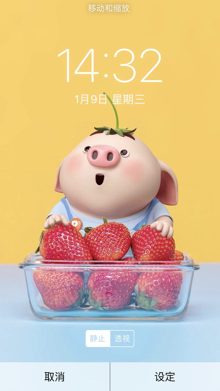 猪小屁 | 表情包&壁纸原.图 戳 坪～