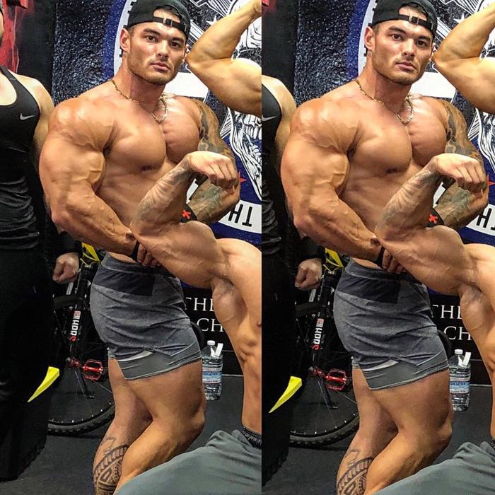 JEREMY BUENDIA IS THE 2016 MR OLYMPIA PHYSIQUE CHAMPION FOR 3 WINS, jeremy  buendia back pose HD wallpaper | Pxfuel
