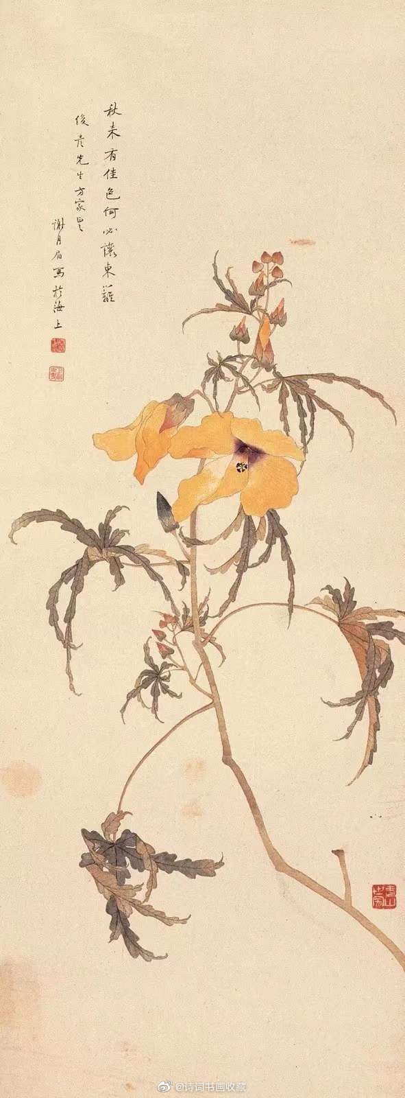 謝月眉   花鳥圖 欣赏民国花鸟“圣手” 谢月眉工笔花鸟78图