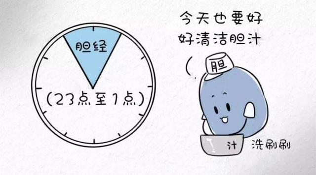 健康十二时辰——子时鼠出洞，胆经正当令