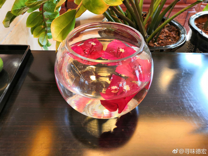 三角梅是德宏州的州花，一年四季盛开不歇。_新浪新闻