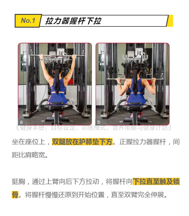 6个练背经典动作,练背日get起来