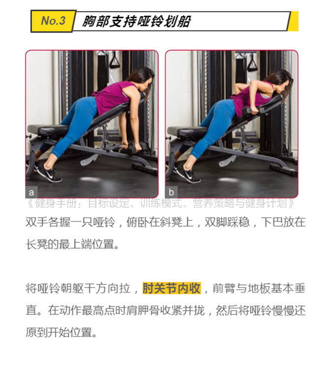 6个练背经典动作,练背日get起来