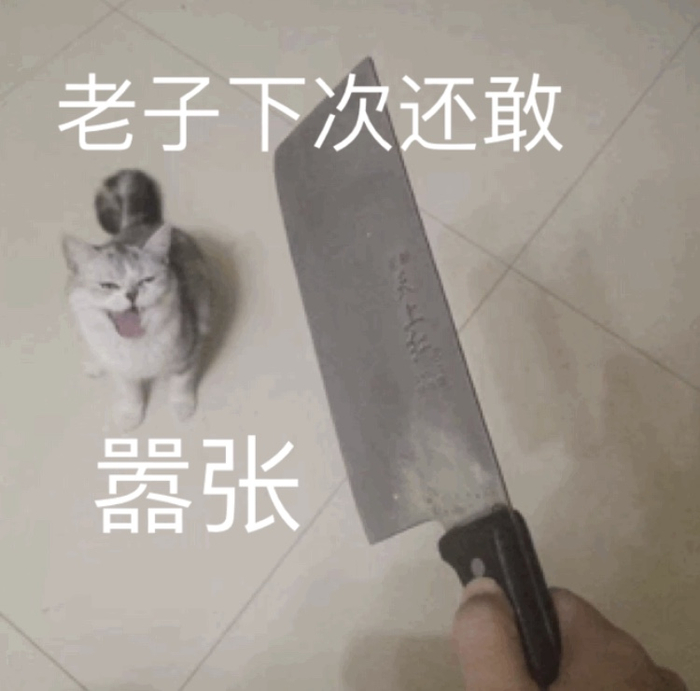 表情包565：两只猫打…架了！生活…我…！…下次还敢|表情包|猫|生活|目标_新浪新闻