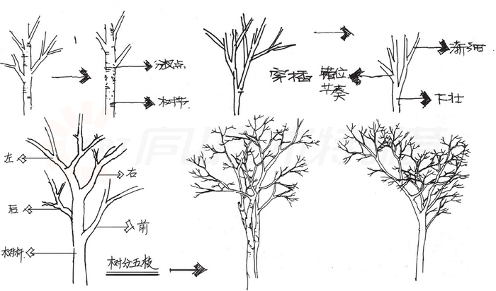 树的手绘画法