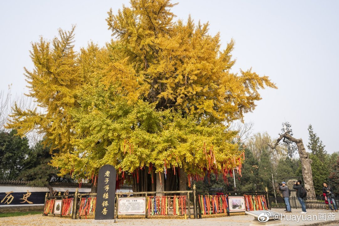 道教圣地“天下第一福地”—终南山古楼观|楼观|终南山|道教|福地|玄武|五行|龟|四象|朱雀|白虎_新浪新闻