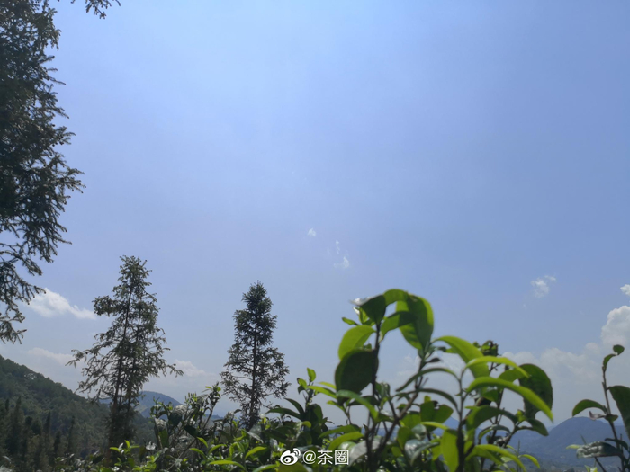 隨時隨地獲取足球比分！球探比分讓您不錯過任何精彩比賽