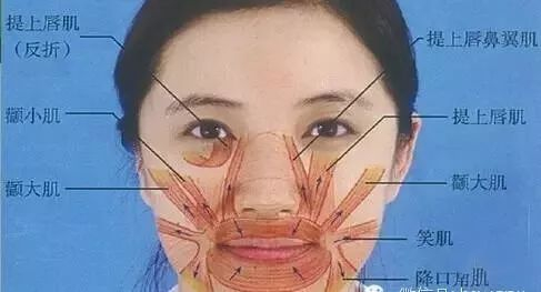 面部表情肌的功能锻炼