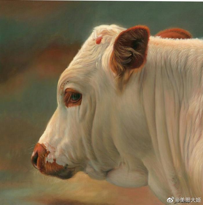 肉質画【牛】油彩画 美国画家Teresa Elliott - 【牛】油画作品欣赏