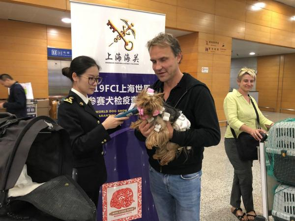 符合免予隔离检疫条件的宠物，将免于隔离检疫。上海海关供图