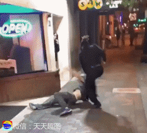 爆笑GIF图:兔子急了不仅咬人,还会打人!