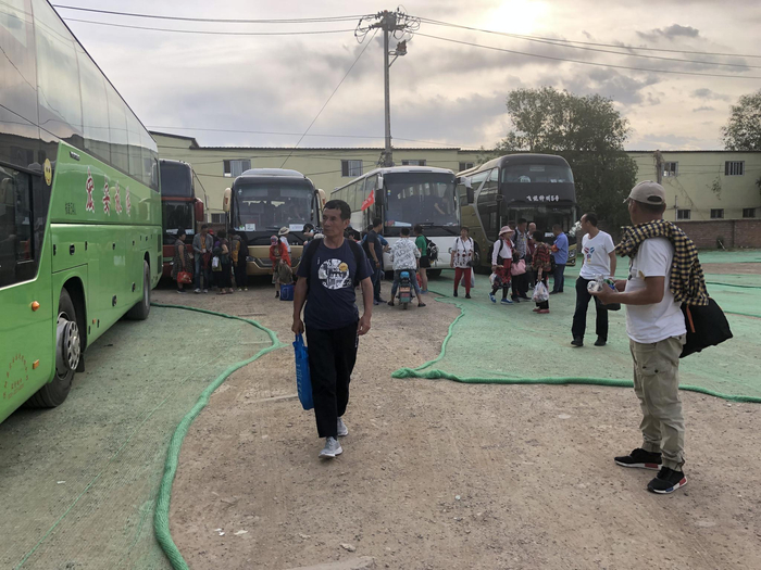 停车场停放着多辆外地牌照大巴车。 新京报记者 张静姝 摄