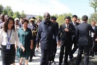 中国有个“假发之都” 非洲消费正逼近美国