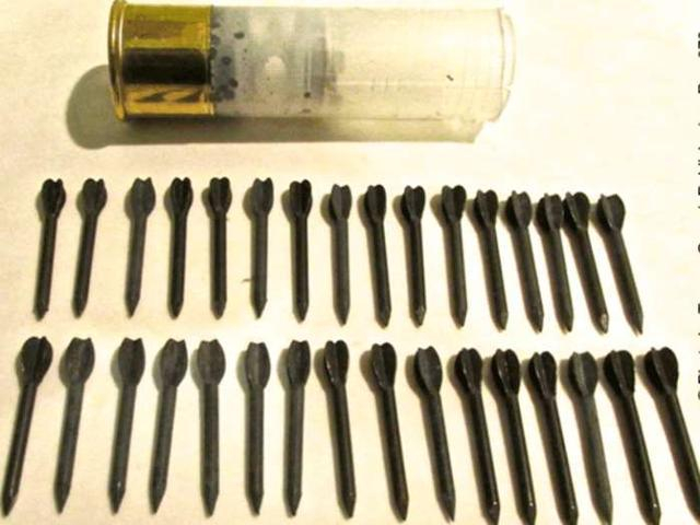 双独头弹(double slug)可能美国人觉得一颗弹头怕太孤独