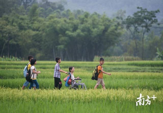 同学们组成的“护送队”分工明确又行动迅速。