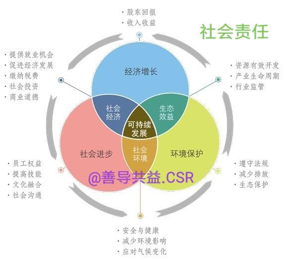 《善导共益CSR - 助力公益慈善事业，赋能企业社会责任》