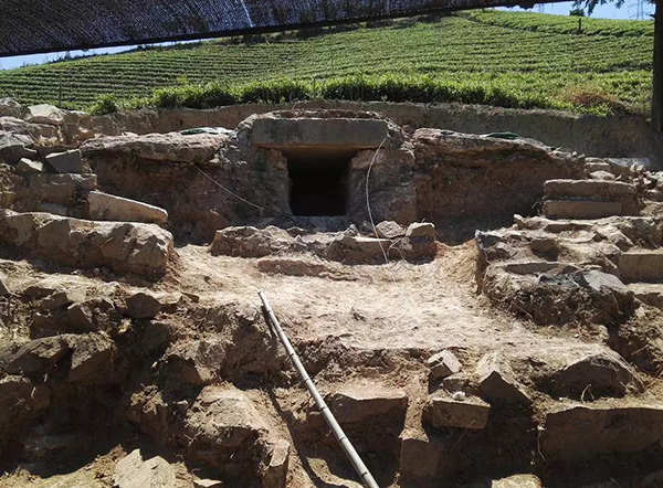 本文图均为 湖州晚报掌上湖州微信公众号 图