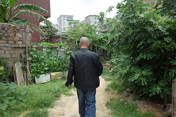  念星华回家的背影。 澎湃新闻记者 袁璐 图