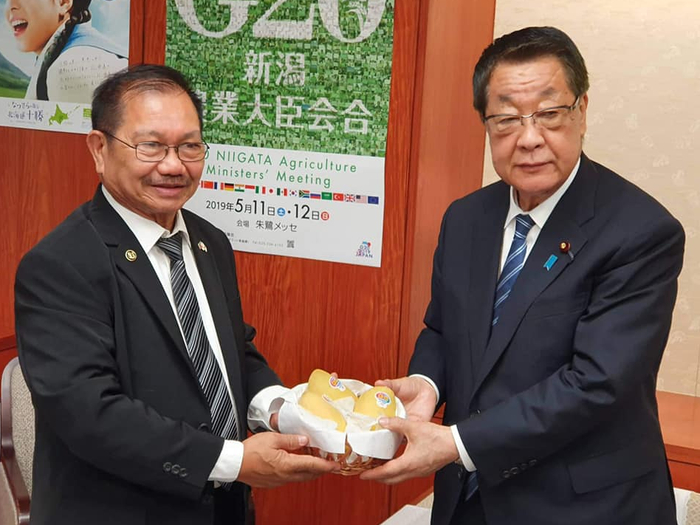 日本农业大臣承诺购买10万公斤芒果 图源：菲律宾星报