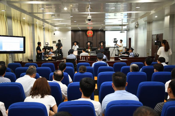 庭审现场。栾川县法院供图