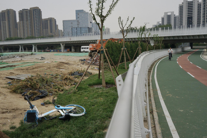 车道旁有被丢弃的共享单车。新京报记者 郑新洽 摄