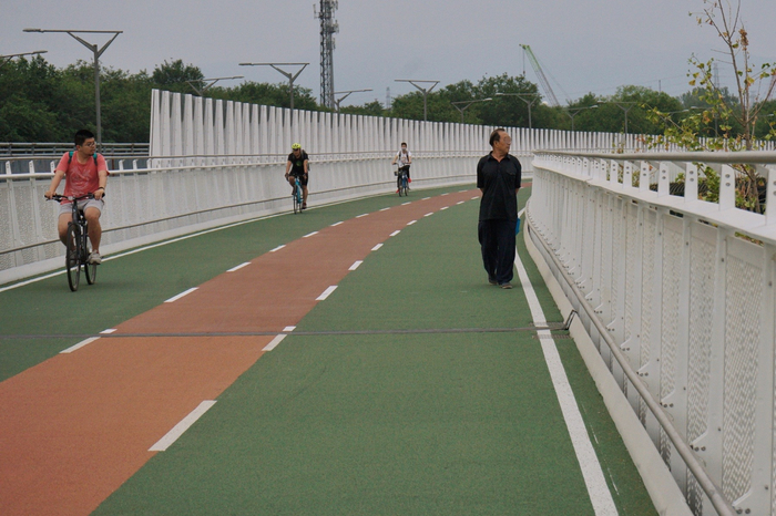 有市民溜进自行车专用道上行走。新京报记者 郑新洽 摄