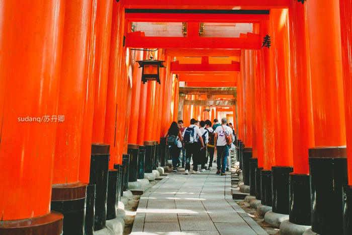 伏见稻荷大社：日本最美神社之一，烂漫的千本鸟居令人心动|京都|建筑|寺院|神域|狐狸_新浪新闻