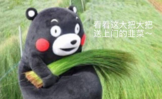 那钱可都是韭菜们的血汗钱啊。