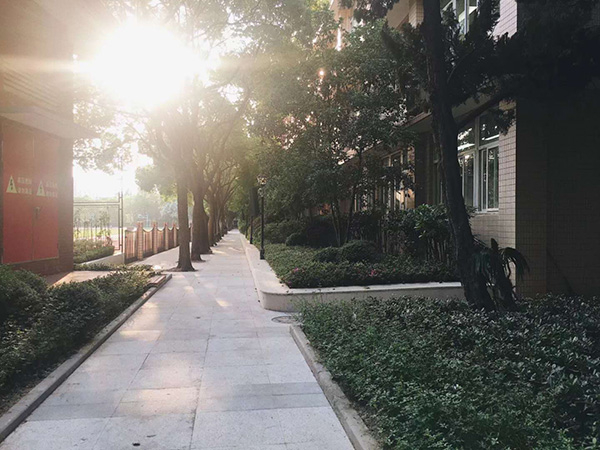 考前最后一周，复旦附中校园一景。