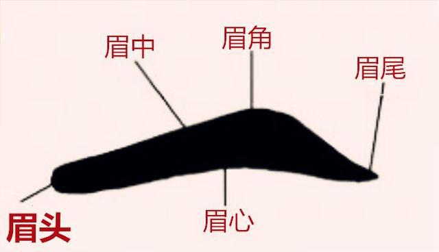 面相五官(二): 眉毛散者,钱财不聚;眉毛中断,兄弟分散!
