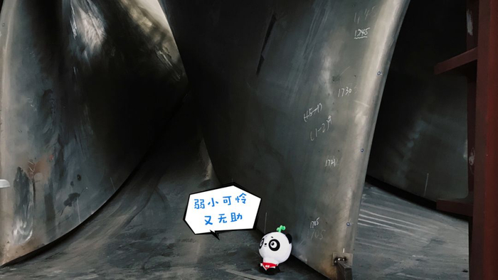  爱的魔力转圈圈