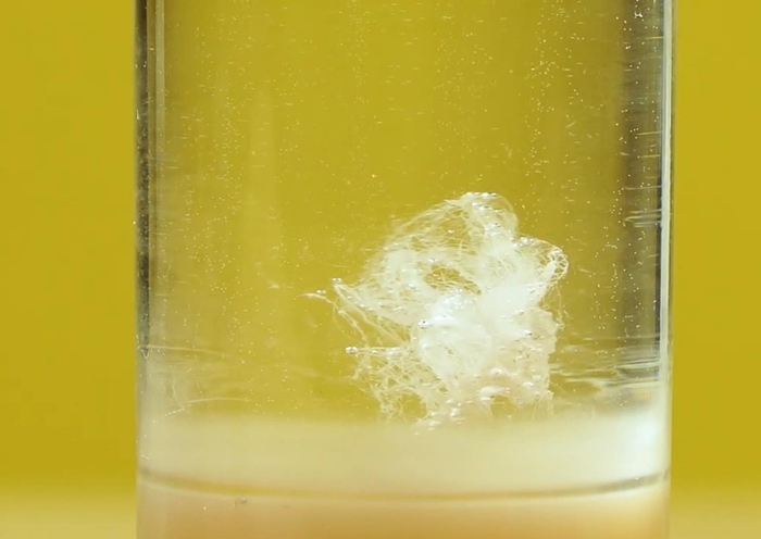 如何自己动手在家提取DNA?
