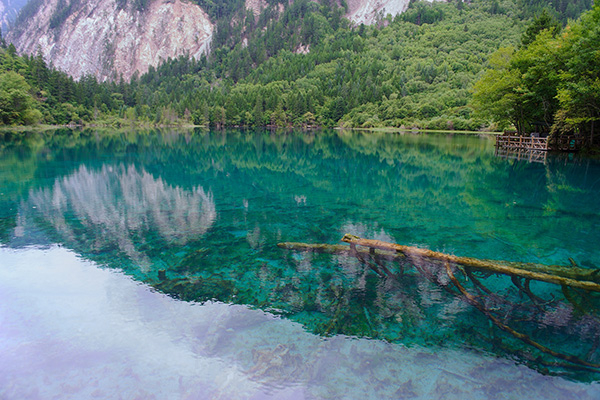 　　2018年8月8日，四川九寨沟，五花海景区。视觉中国 资料