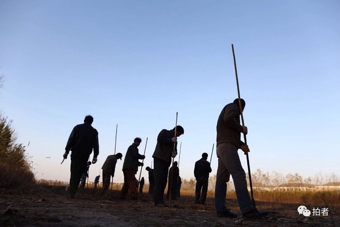 　　△ 2014年11月16日，大兴区榆垡镇，新机场安置房地块前期勘测工作正在开展，考古人员在用洛阳铲进行文物勘探。摄影 /&nbsp;新京报记者浦峰