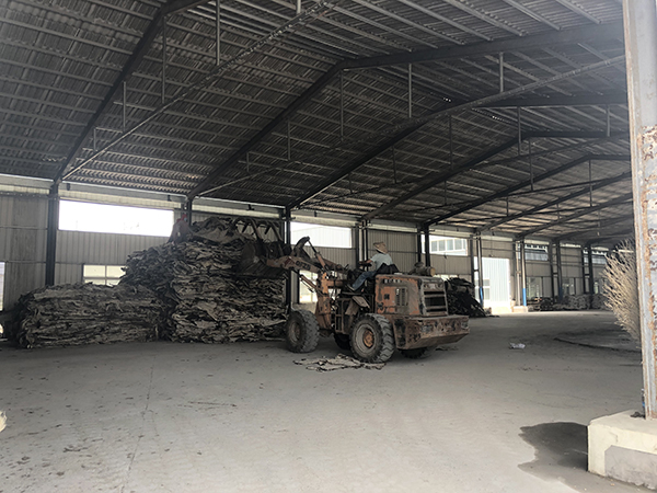 华诚公司仓库内，工人正在用铲车搬运驴皮。