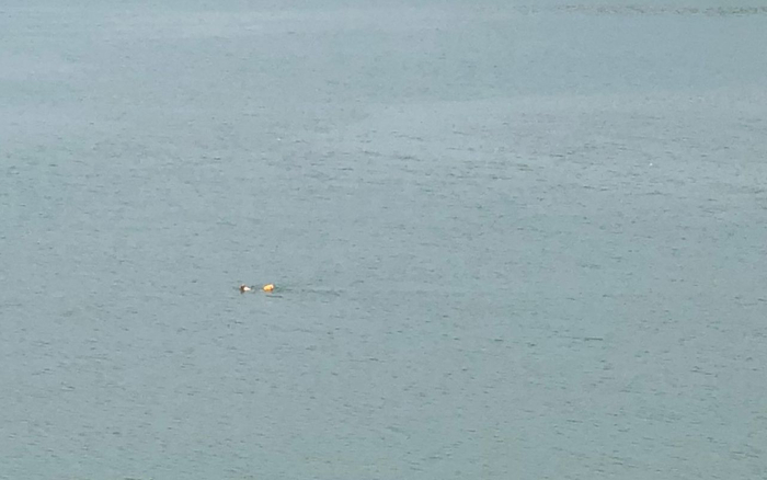 　　十三陵水库中间有人游泳，据水库管理处工作人员介绍，此处水域有溺亡事故，但野泳屡禁不止。 新京报记者 张静姝 摄