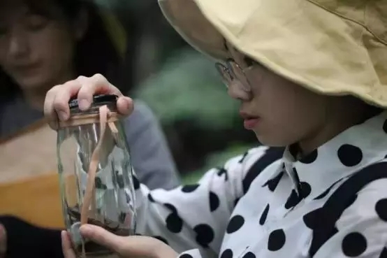 学生在野外捉虫