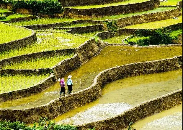 ▲资料图 来源：视觉中国