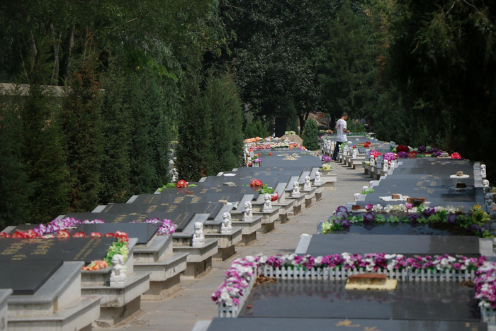  2019年7月24日，北京市朝阳区百子湾家园小区东侧，有一片被树林和高尔夫球场遮挡的墓地。实习生 陈婉婷 摄