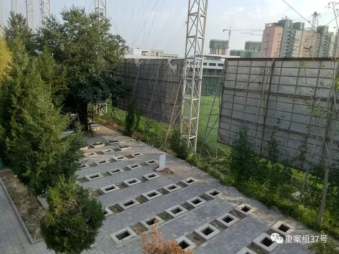  ▲今日，墓地北侧部分墓穴墓碑被移走。实习生 陈婉婷 摄