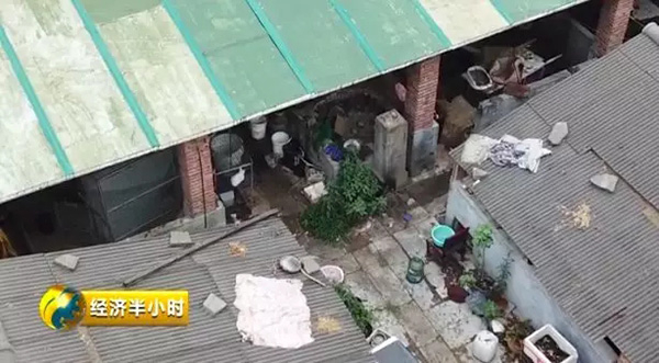 地下宠物繁殖场