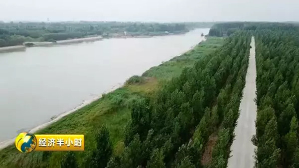 京杭运河鲁运河段